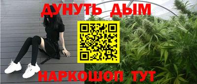спайс Гай