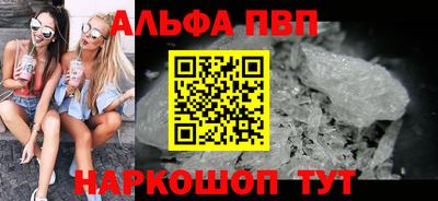 спайс Гай