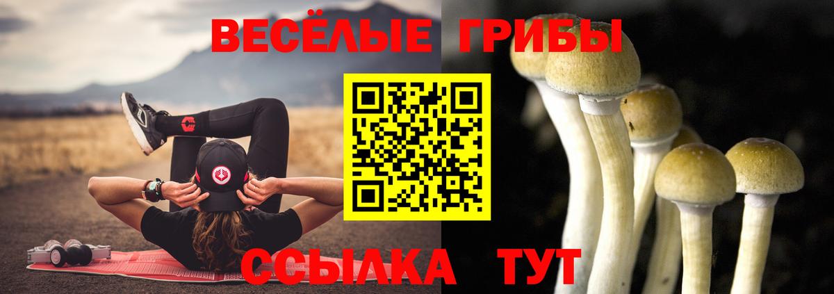 Галлюциногенные грибы GOLDEN TEACHER Белебей